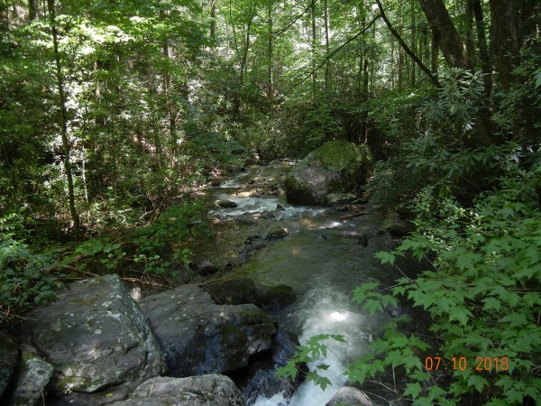 8e3534833c8d0828d3ead64d24e56260_1641358132_99.jpg